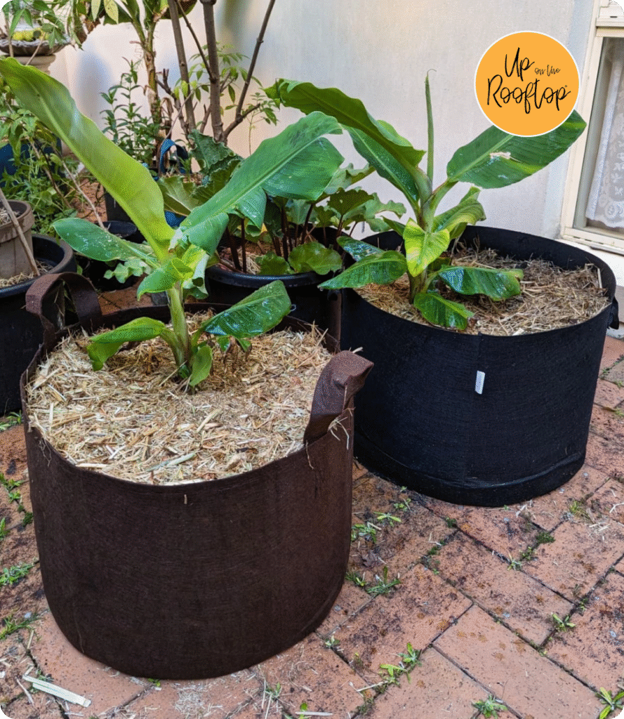 Up On The Rooftop Shopify gardening products store custom eCommerce website created by Reason Infotech